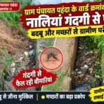 ग्राम पंचायत पहंदा के वार्ड क्रमांक 11 में नालियां गंदगी से पटीं, बदबू और मच्छरों से ग्रामीण परेशान।